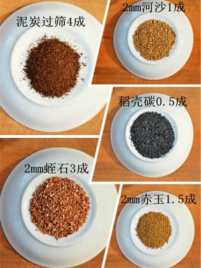Bạn sẽ biết cách gieo sau khi xem nó