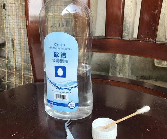 Khu vực vận chuyển miễn phí cho một năm thực phẩm thịt