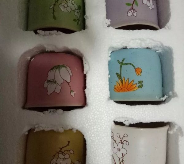 Màu xanh lá cây cũng là trái tim, và tôi đã bắt đầu lo lắng về việc trải qua mùa hè