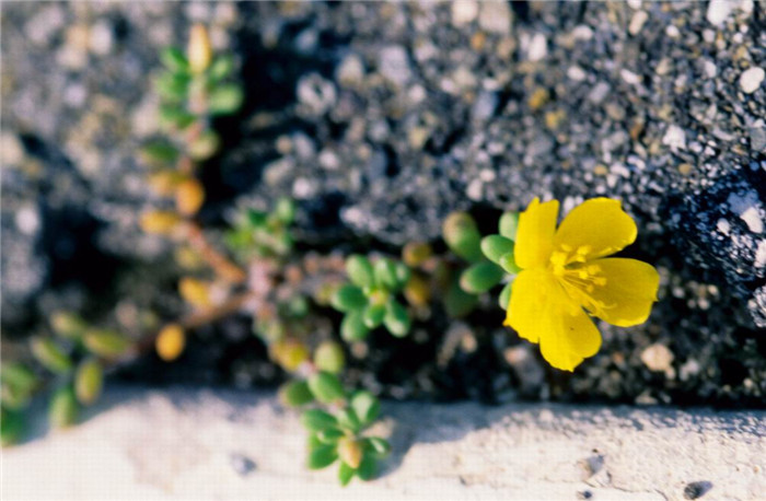 Nhiều thứ thịt hơn