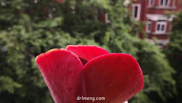 Làm thế nào để chụp những bức ảnh mọng nước đẹp khiến người khác ghen tị và làm cho mình bí mật hạnh phúc