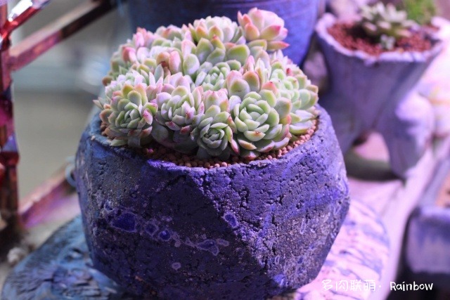 Trời lạnh, có những cú sốc và bất ngờ