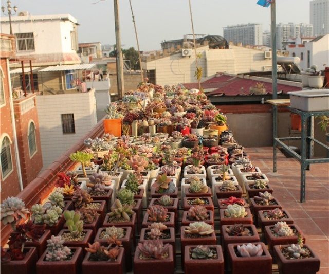 Tháng ba, một chút bất ngờ vào mùa xuân