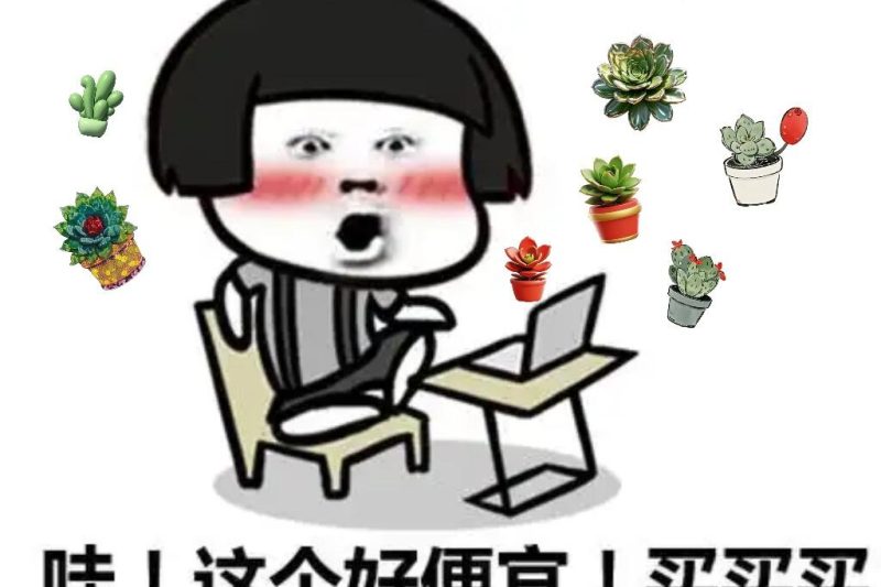 cắn! Hãy đến với mọng nước có hương vị màu cam
