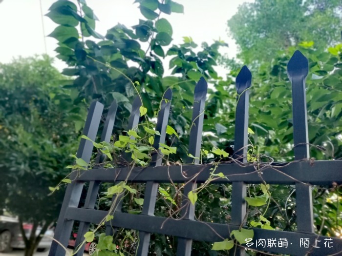Có thể trở về từ cơn hoạn nạn và đẹp