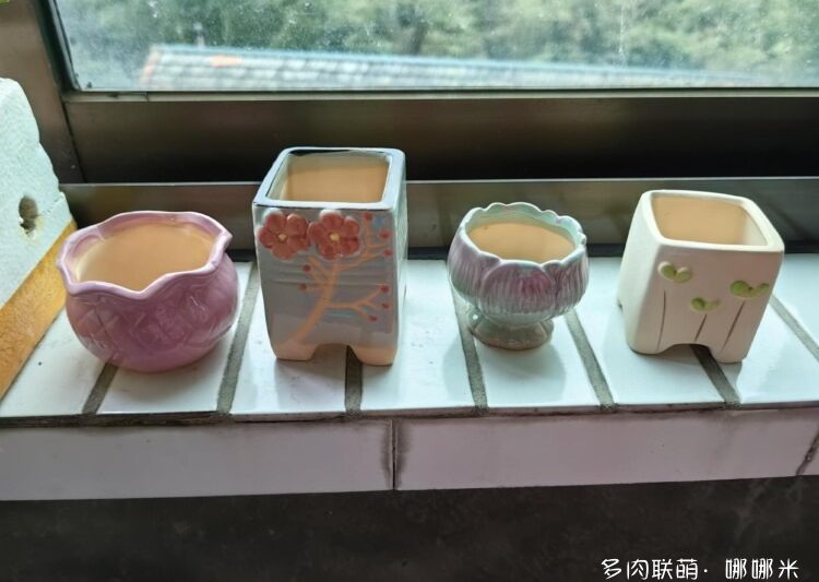 Bữa tiệc hành động mọng nước: Tôi thích dự trữ chậu