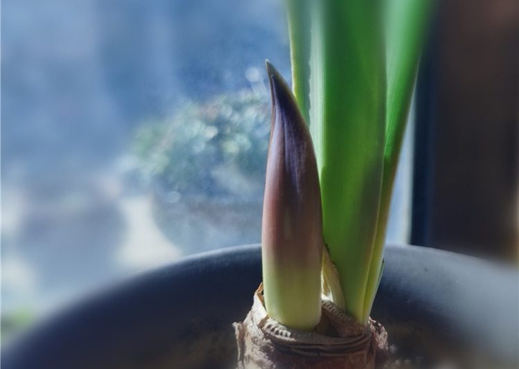Sau khi đếm, gia đình mọng nước của bạn nên gặp rắc rối.