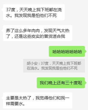 Vào mùa hè, chúng ta có nên tưới nước mọng nước không?