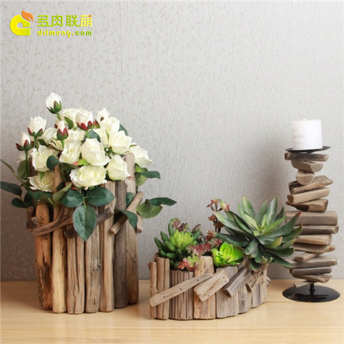 Có thể sử dụng chậu hoa bằng gỗ để trồng mọng nước?