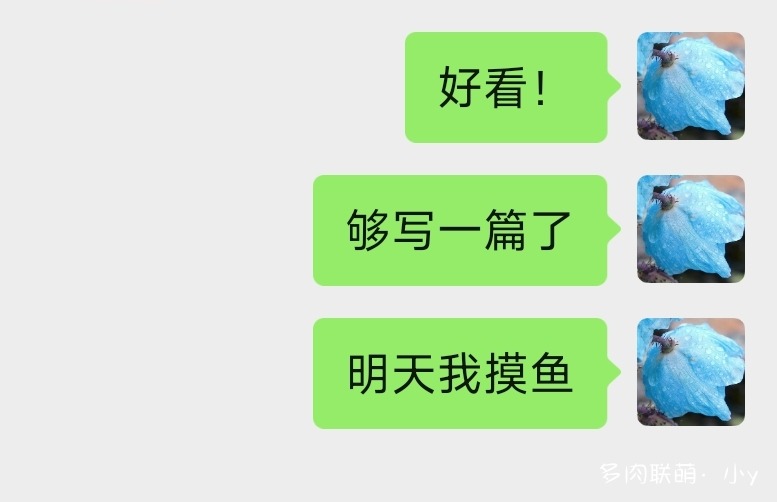 Giáng sinh nên có màu đỏ và xanh