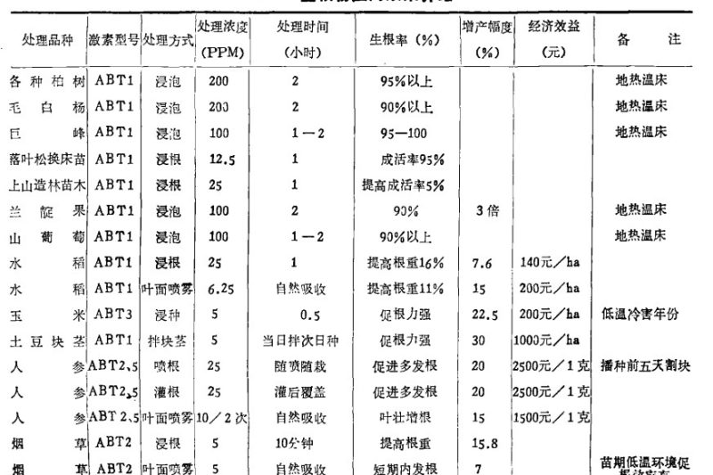 Cách sử dụng bột rễ