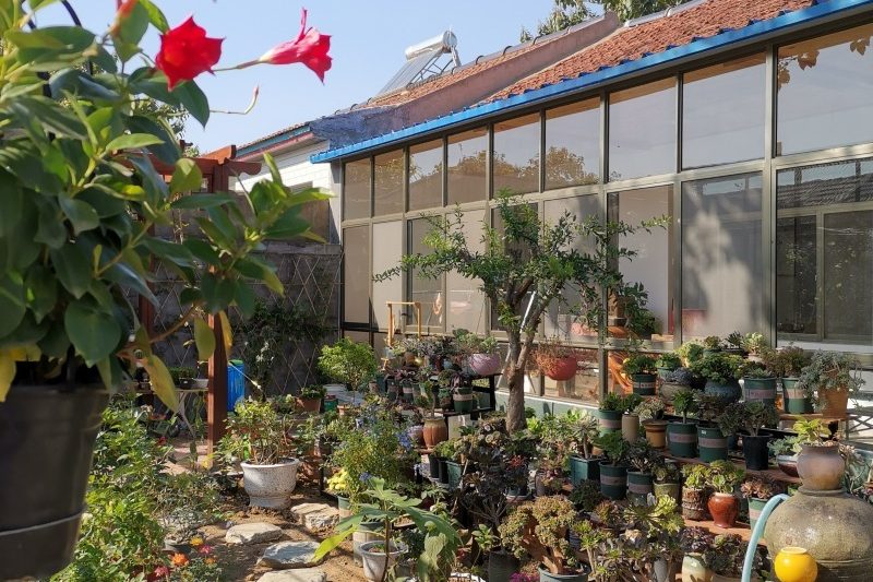 Cầu mong bạn chạy trốn trong một nửa cuộc đời và làm đẹp sự trở lại của bạn