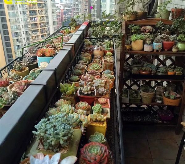 Đừng có thể đi ngủ sau khi nâng mọng nước