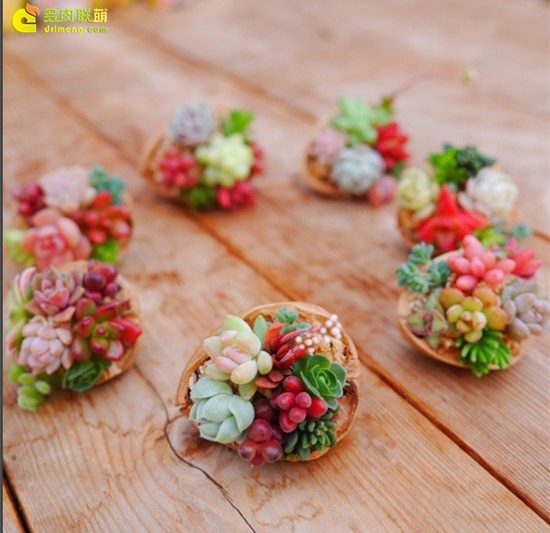 Đánh giá cao thịt vào cuối tuần là một chút vui vẻ và tuyệt đẹp