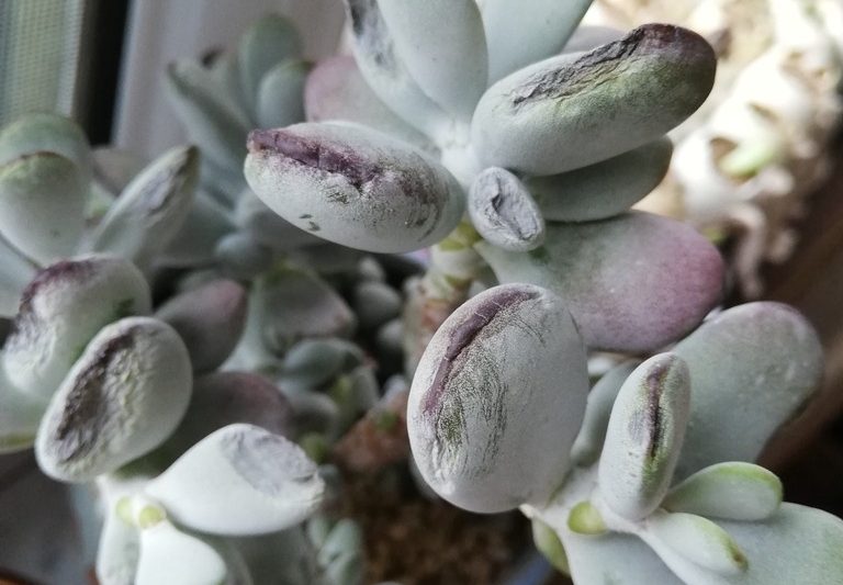 Ngày tháng tư đẹp nhất