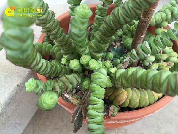 Đếm các ngôi sao, chuỗi tiền mà bạn không biết