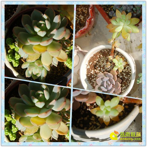 Hãy cẩn thận với ánh sáng mặt trời nghiêng vào mùa hè