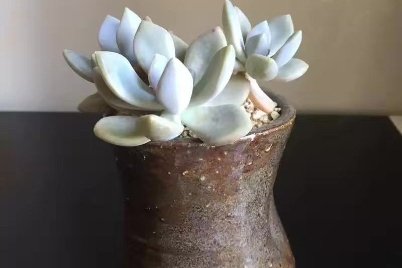 Tốt để phát triển và nâng cao hàng hóa chung