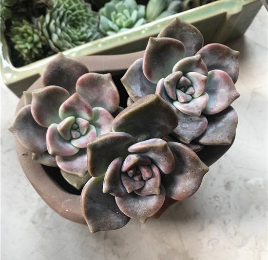Làm thế nào để bắt đầu một hành trình mọng nước với một khởi đầu dễ chịu