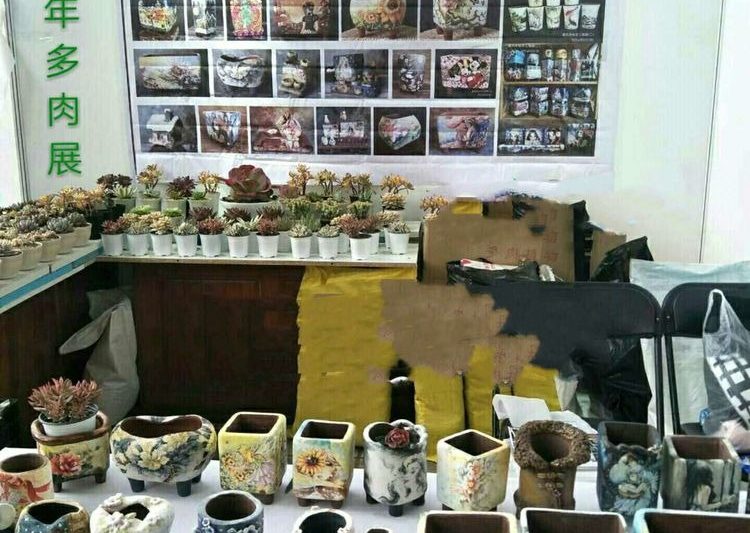 Bướm khiêu vũ với những bông hoa đào, nồi hoa mọng nước được vẽ bằng tay