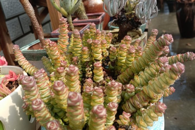 Ah, tôi đã xem xét sự mọng nước, và tôi rất phấn khích
