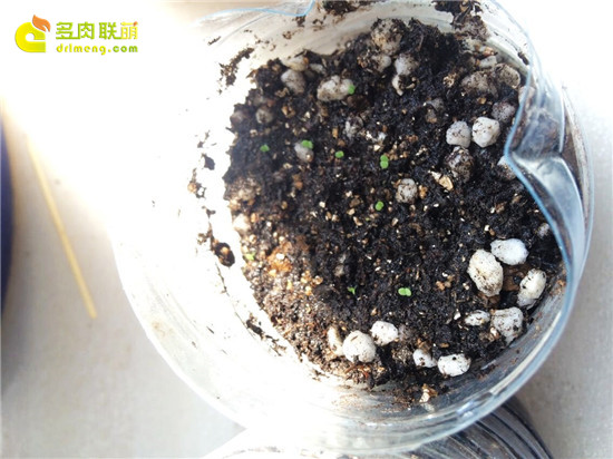 Thời gian sẽ cho bạn món thịt đẹp mà bạn muốn