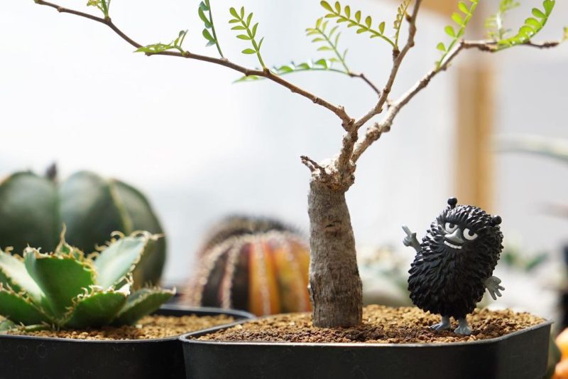 Đánh giá cao thịt vào cuối tuần, tiếp tục xem những người dễ thương và đáng yêu … thịt
