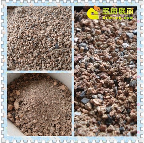 Những ưu và nhược điểm của việc trồng trọt các loài mọng nước