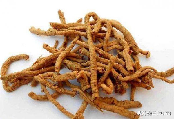 Top 10 vật liệu dược liệu khan hiếm ở Trung Quốc Top 10 vật liệu dược liệu khan hiếm ở Trung Quốc
Top 10 vật liệu dược liệu hiếm ở Trung Quốc