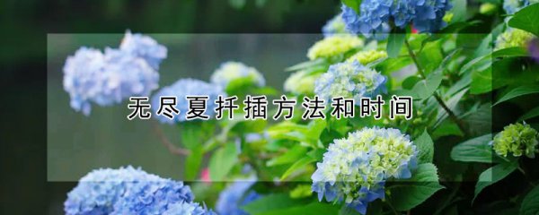 Khi nào là cắt giảm mùa hè vô tận khi cắt mùa hè vô tận