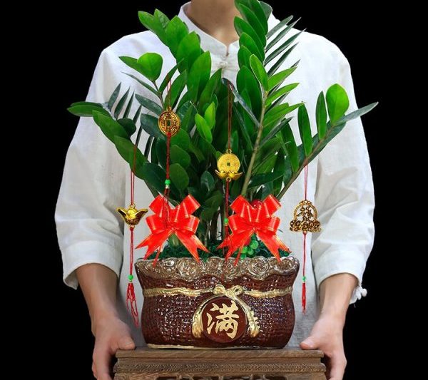 Những cây nào có thể được đặt trong một nhà hàng nồi nóng để thu hút sự giàu có? Những cây nào có thể được đặt trong một nhà hàng nồi nóng để thu hút sự giàu có?