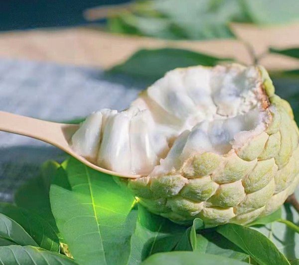 Các loại trái cây có thể giúp các bà mẹ phục hồi từ sữa là gì?