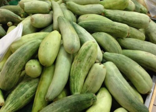 Giới thiệu về dưa cổng Sự khác biệt giữa Gate Delon và Zucchini