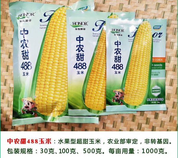 Top 10 thương hiệu hạt ngô trong quốc gia xếp hạng 10 thương hiệu hạt ngô hàng đầu