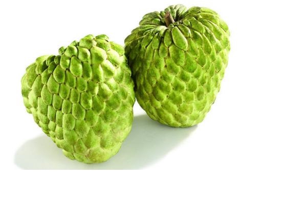 Một phân tích đầy đủ về hiệu quả của trái cây sakkyamuni, chức năng và giá trị ăn được của trái cây sakkyamuni