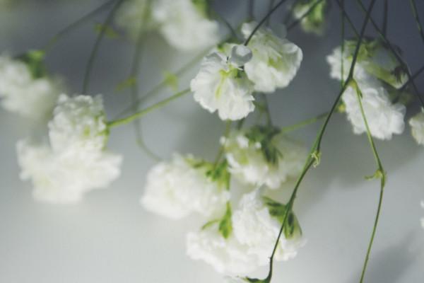 Màu gì của các vì sao đại diện cho tình yêu? Giải thích ý nghĩa và ý nghĩa tượng trưng của các ngôi sao