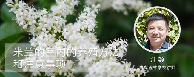 Tại sao Milan không thể được duy trì tốt? Hiểu tất cả các điểm chính của bảo trì trong nhà