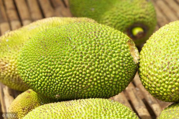 Có những trái cây nào ở miền Nam? Có những trái cây nào ở miền Nam?
Có những trái cây nhiệt đới nào ở miền Nam?