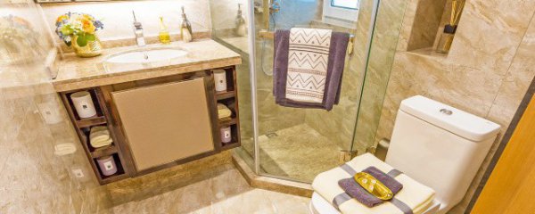 Cây nào tốt cho phòng tắm? Cây nào phù hợp cho phòng tắm