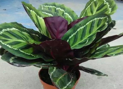 Làm thế nào để nâng tre 生生生生生生生生生生生生生生生生生生生生生生生生生生生生生生生生生生生生生生生生生生生生生生生生生生生生生生生生生生生生生生生生生生生生生生生生生生生生生生生生生生生 �