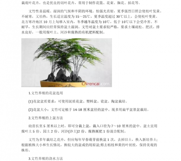 Có dễ dàng để nâng tre không? Làm thế nào để nâng tre? Có dễ dàng để nâng tre không?