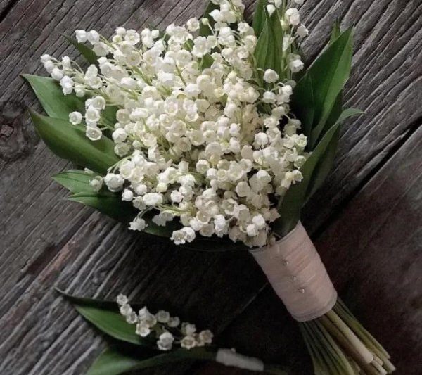 Lily of the Valley có nghĩa là gì? Ý nghĩa và truyền thuyết về Lily of the Valley (2)