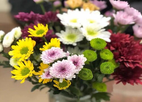 Hoa đại diện cho người bảo vệ những gì hoa đại diện cho người bảo vệ