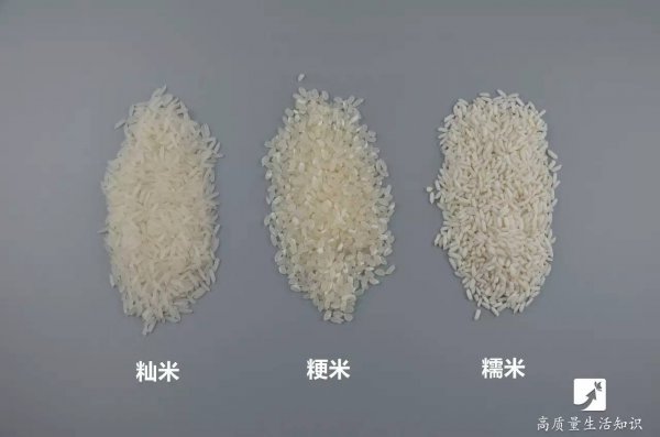 Gạo Wuchang có phải là gạo indica hay gạo japonica không? Gạo Wuchang có phải là gạo indica hay gạo indica không?