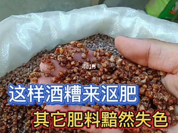 Có thể sử dụng lees rượu vang làm phân bón không? Có thể sử dụng lees rượu vang làm phân bón không?