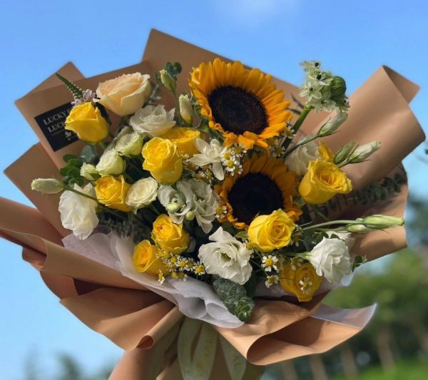 Những bông hoa nào nên xin lỗi một cô gái? Những bông hoa nào nên xin lỗi một cô gái?