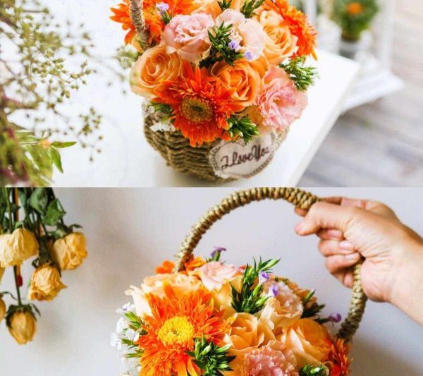 Những bông hoa nào phù hợp để trồng tre giỏ? Những bông hoa phù hợp để trồng trong giỏ tre