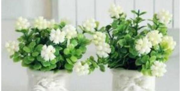 Kiểm soát thời gian của việc đóng gói đất cho hoa trà. Kiểm soát thời gian của việc đóng gói đất cho hoa trà.