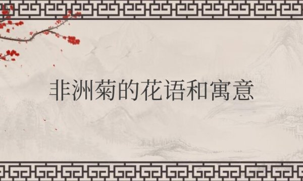 Ngôn ngữ hoa và ý nghĩa của Gerbera tượng trưng cho phong thủy. Gerbera: Ngôn ngữ hoa và ý nghĩa của phong thủy