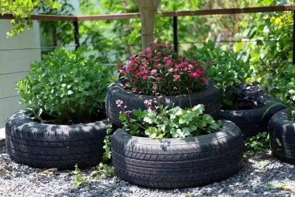 Khu vực cấm kỵ cho trồng hoa gia đình. Tránh 3 khu vực có tỷ lệ mắc lá màu vàng cao trong trồng hoa.